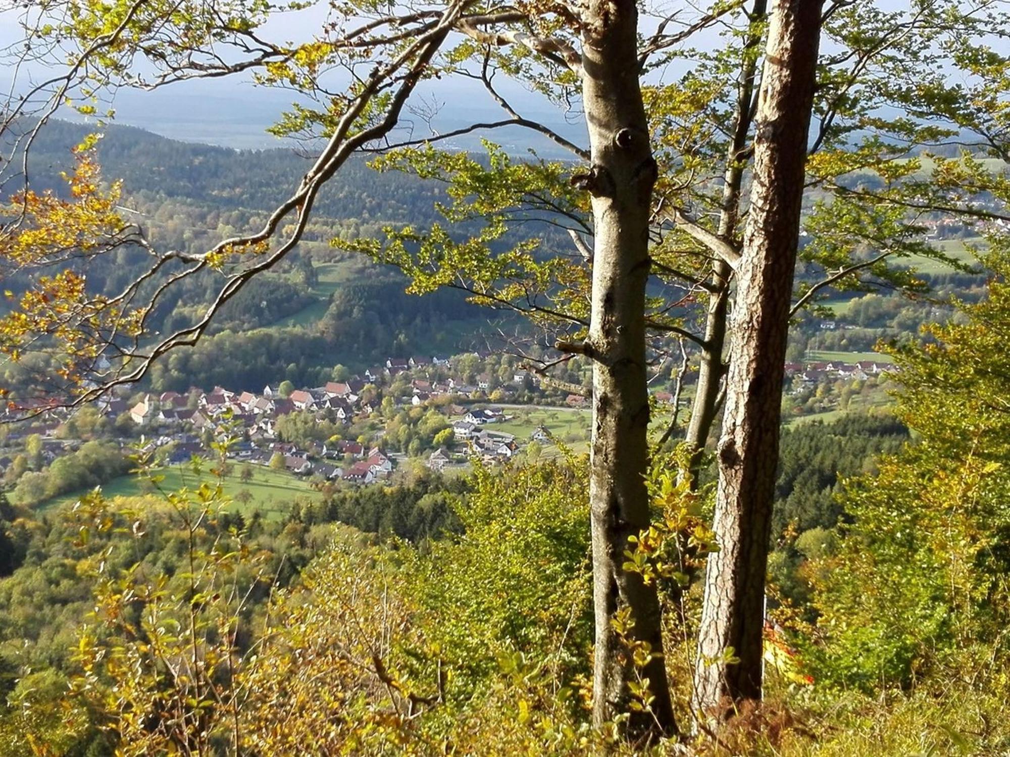 Ferienwohnung Schatz Albstadt Esterno foto