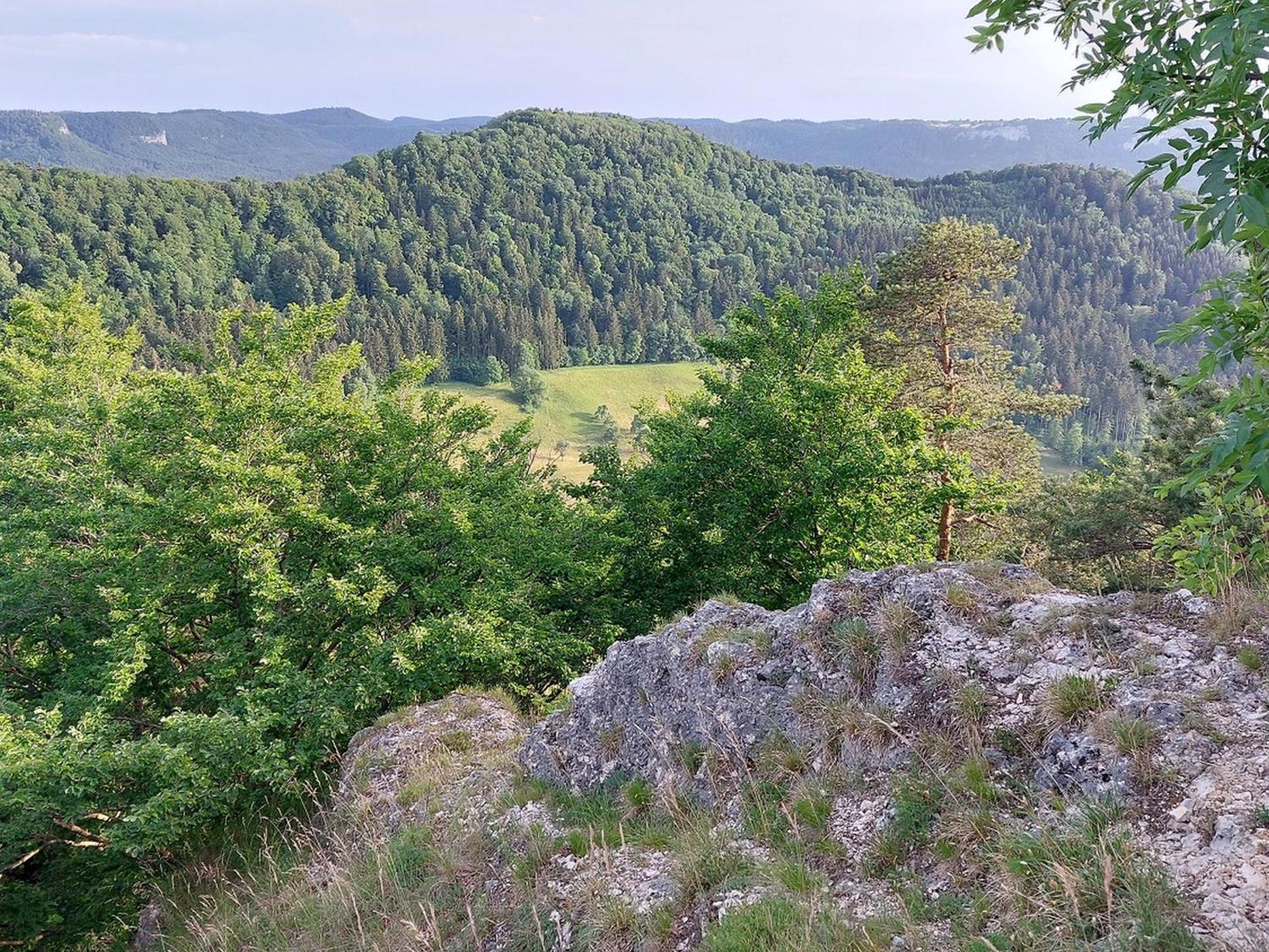 Ferienwohnung Schatz Albstadt Esterno foto